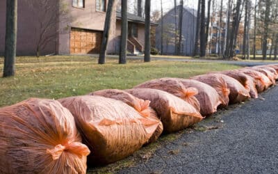 Fall into a Clutter-Free Season: Let Chuck It Junk Removal Handle Your Autumn Cleanup