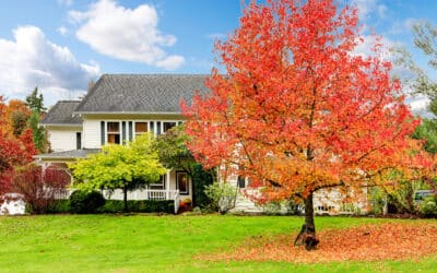 Get Ready for Fall Cleanup with Professional Junk Removal Services in Centerville, UT